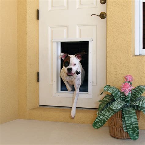 rfid chip dog door|electronic wall mounted dog doors.